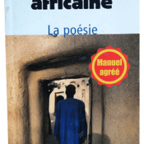 Livre de Littérature - Nouvelle anthologie africaine - 2ndes
