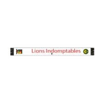 Echarpe floquée Lions Indomptables