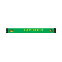 Echarpe floquée Lions Indomptables