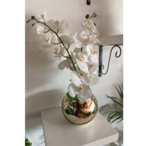Pot de Fleurs - Orchidée Blanc