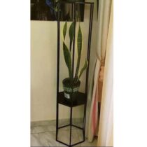 Pot de Plantes Vertes - Sansevieria Trifasciata : La Langue De La Mère