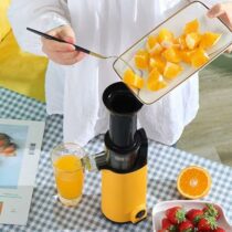 Extracteur de jus