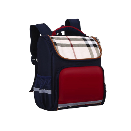 Sac à dos Burburry - SIL/CP + Une paire de basket