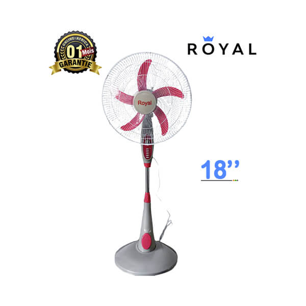 Ventilateur Royal 18 pouces en fonctionnement, montrant la puissance du flux d'air