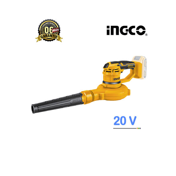 Aspirateur Souffleur INGCO 20V - Vue d'ensemble.
