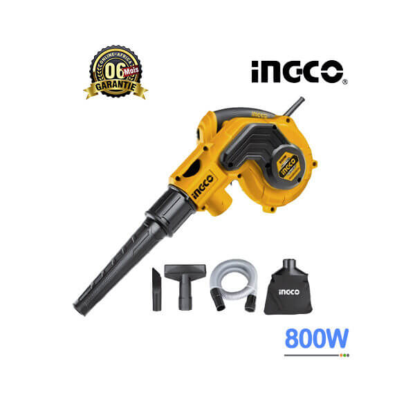 Aspirateur Souffleur Ingco 800W Vue de face, design compact et ergonomique